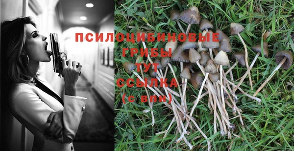 прущая мука Белокуриха