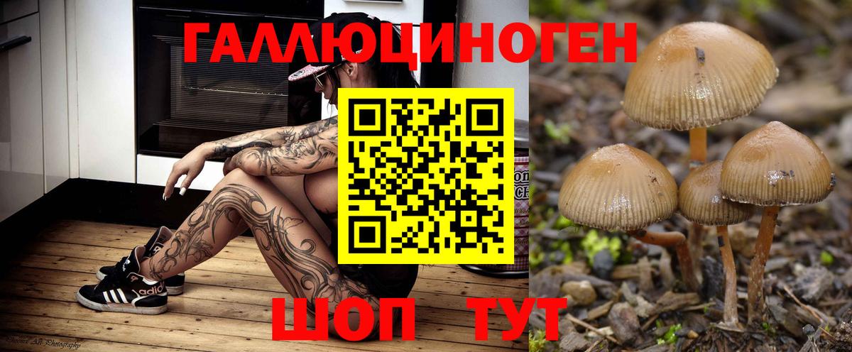 Богданович  где купить наркоту  Вход с VPN  Псилоцибиновые грибы Psilocybe 