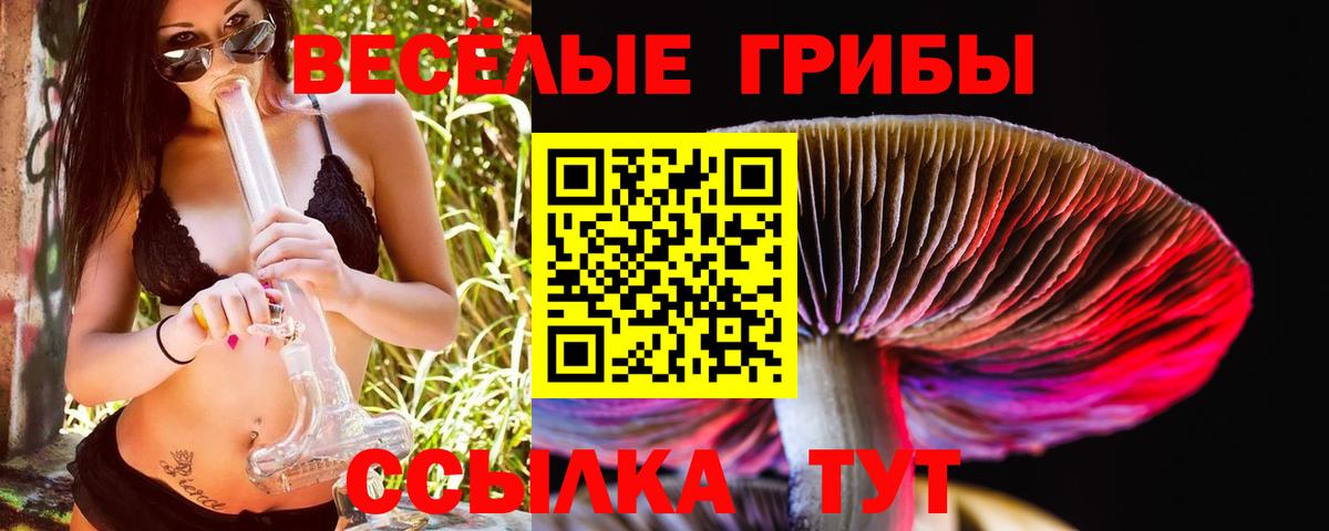 Псилоцибиновые грибы MAGIC MUSHROOMS Богданович